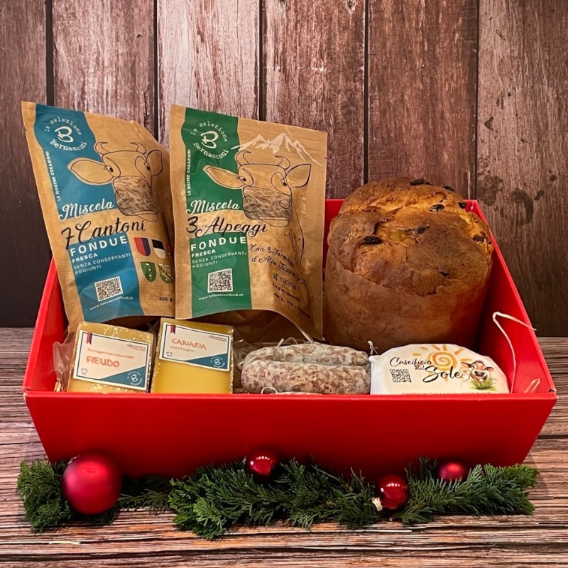 Un Natale in compagnia